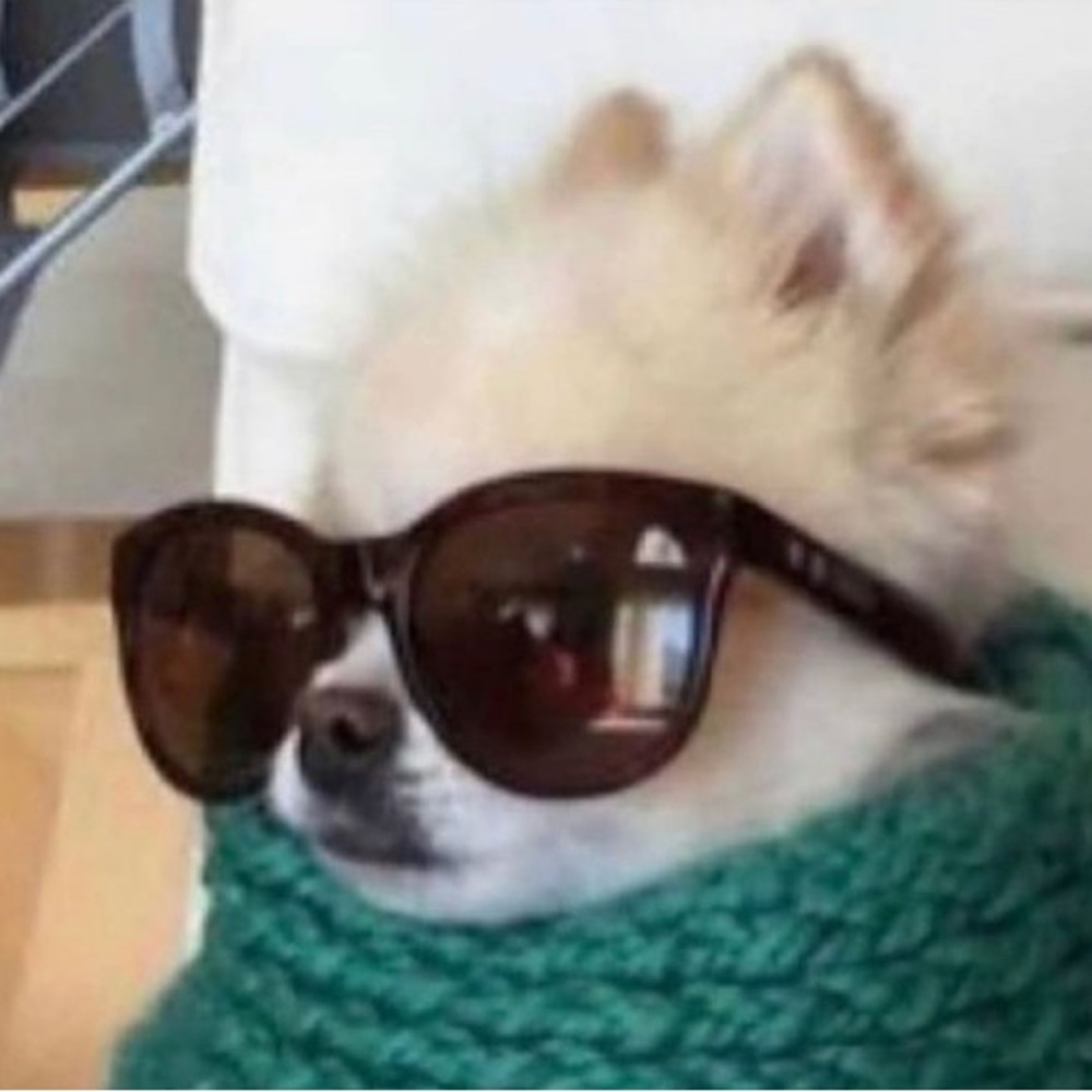 Meet your Posher, catmoss